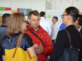 Третій "національний день картоплі" (2016)-242