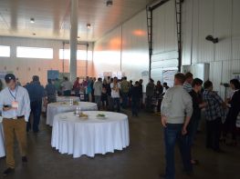 Третій "національний день картоплі" (2016)-248