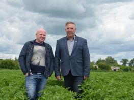 Вирощування картоплі-604