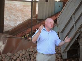 Вирощування картоплі-565