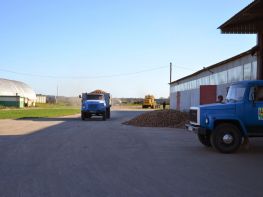 Вирощування картоплі-563