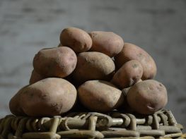 Вирощування картоплі-510