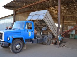 Вирощування картоплі-568