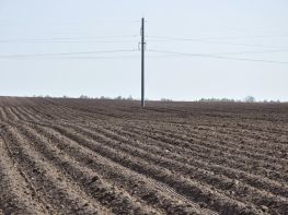 Вирощування картоплі-621