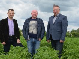 Вирощування картоплі-590