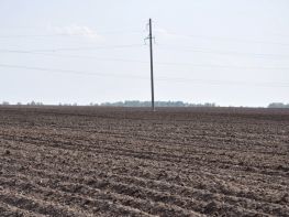 Вирощування картоплі-620