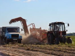 Вирощування картоплі-577