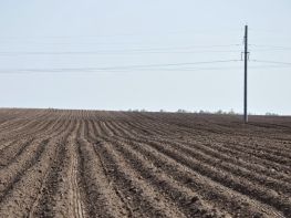 Вирощування картоплі-616