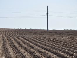 Вирощування картоплі-623