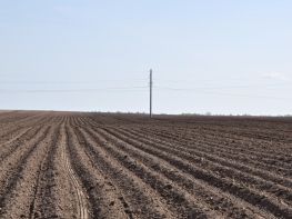 Вирощування картоплі-626