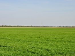 Ми на польових роботах!-678