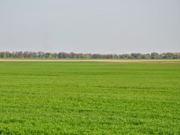 Ми на польових роботах!-679