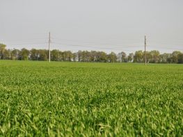 Ми на польових роботах!-694