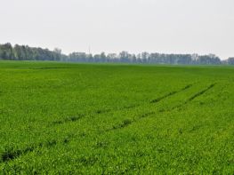 Ми на польових роботах!-676