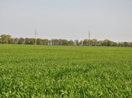 Ми на польових роботах!-696