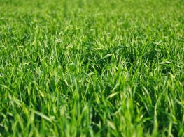 Ми на польових роботах!-693