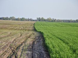 Ми на польових роботах!-692