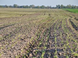 Ми на польових роботах!-689