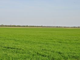 Ми на польових роботах!-677