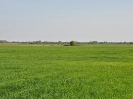 Ми на польових роботах!-680