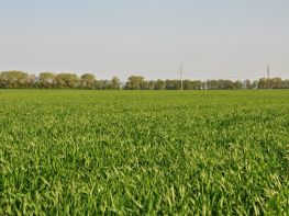 Ми на польових роботах!-683