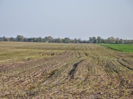 Ми на польових роботах!-698