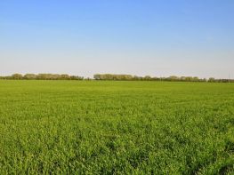 Ми на польових роботах!-682