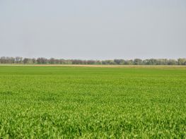 Ми на польових роботах!-681