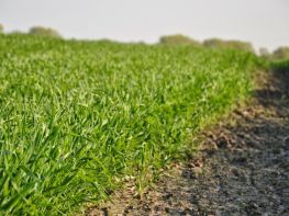 Ми на польових роботах!-687