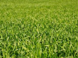 Ми на польових роботах!-688