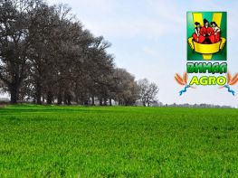 На робочій стіл!-702